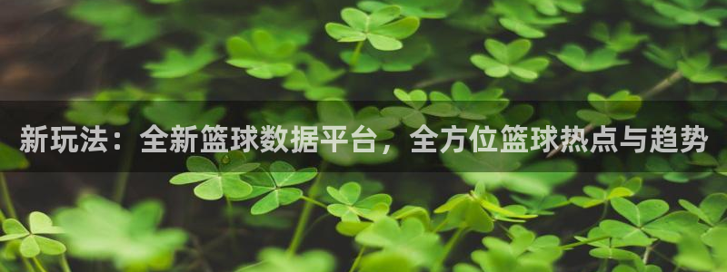 新玩法：全新篮球数据平台，全方位篮球热点与趋势
