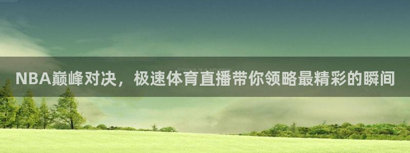 NBA巅峰对决，极速体育直播带你领略最精彩的瞬间