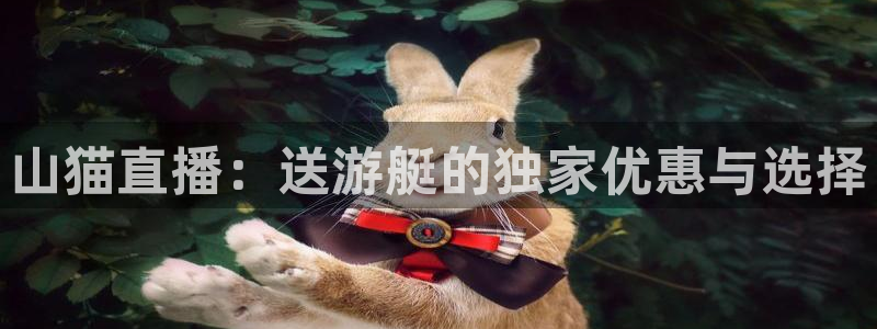 山猫直播：送游艇的独家优惠与选择