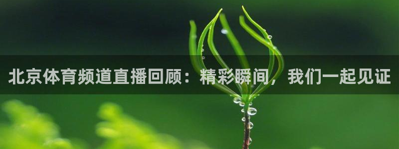 北京体育频道直播回顾：精彩瞬间，我们一起见证