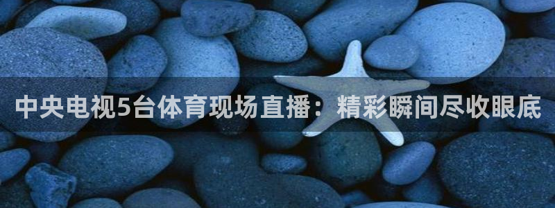 中央电视5台体育现场直播：精彩瞬间尽收眼底
