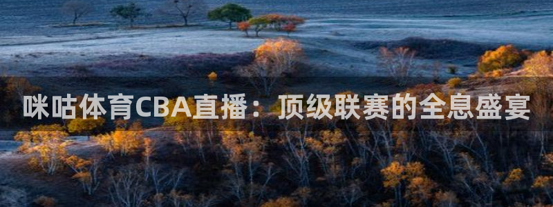 咪咕体育CBA直播：顶级联赛的全息盛宴