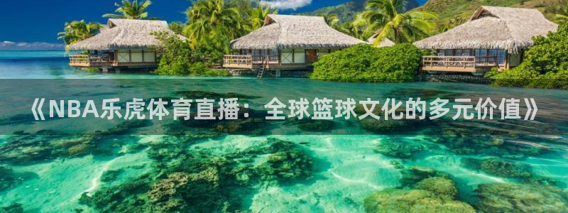 《NBA乐虎体育直播：全球篮球文化的多元价值》
