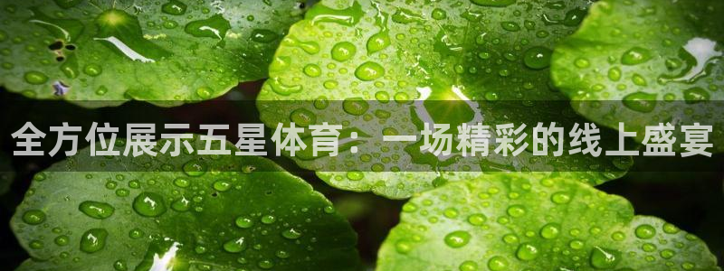全方位展示五星体育：一场精彩的线上盛宴
