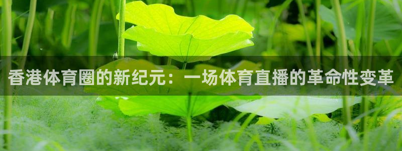 香港体育圈的新纪元：一场体育直播的革命性变革