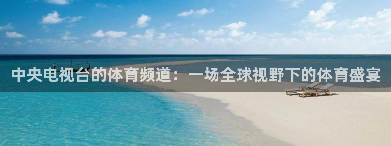 中央电视台的体育频道：一场全球视野下的体育盛宴